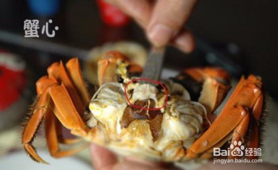 螃蟹应该怎么吃？
