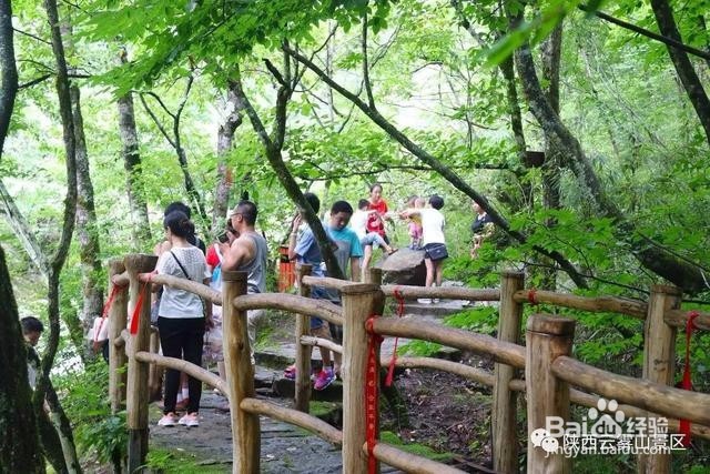 这才是云雾山游玩的正确方式