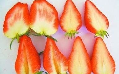 草莓应该怎样清洗？