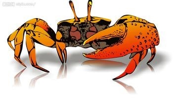 哪些食物一定不能共食（那些你不知道的秘密七）