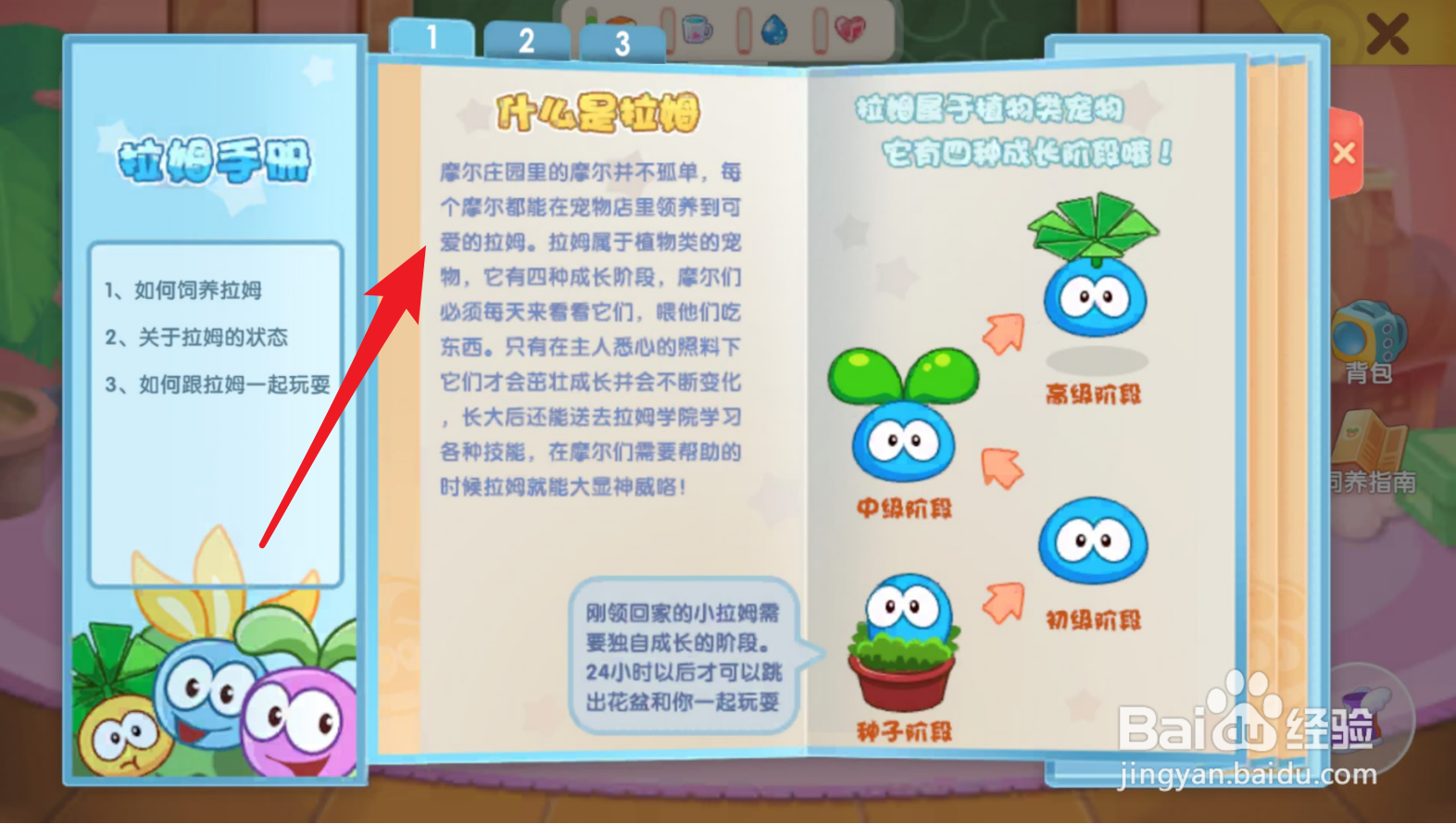 摩尔庄园里面的拉姆是什么