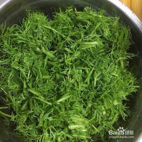 茴香菜怎么吃 百度经验