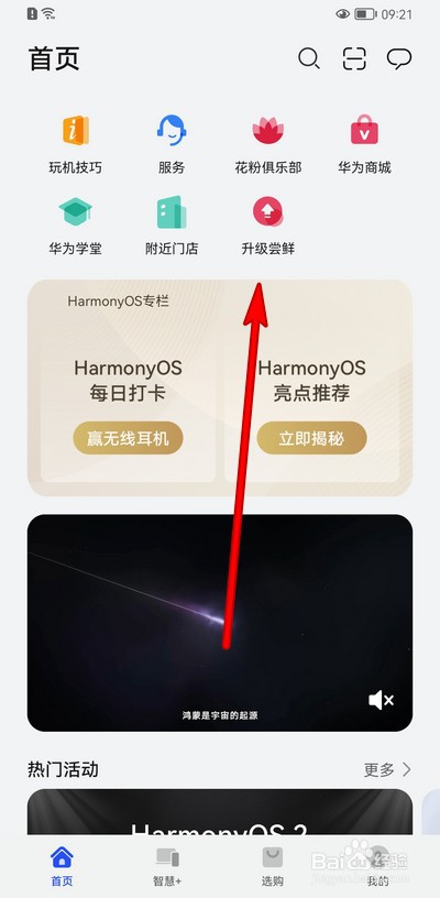 华为鸿蒙系统支持的手机型号第二批