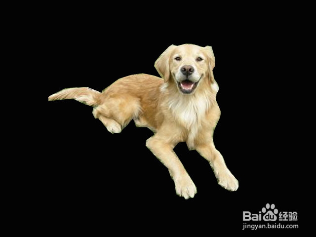 Photoshop怎么抠图