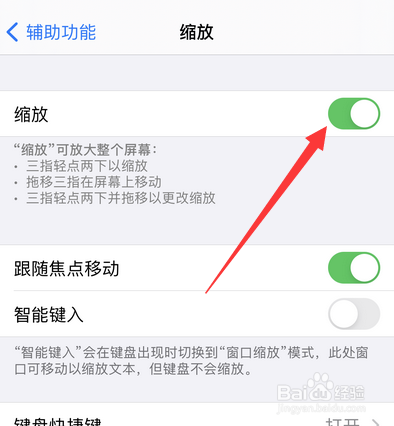 苹果手机缩放怎么操作