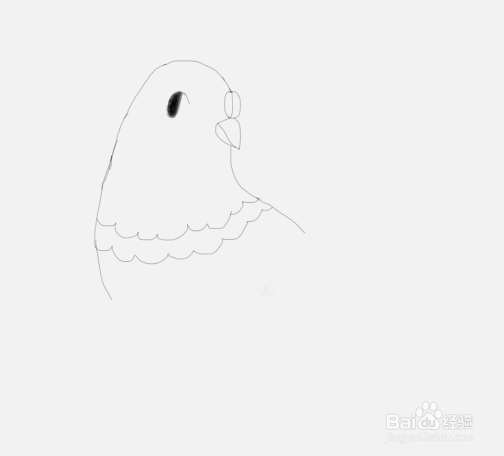 如何教儿童画简笔画鸽子