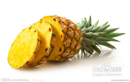 减肥期间必备的食品