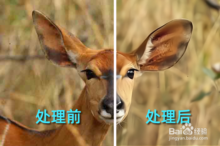 模糊照片怎么变清晰？