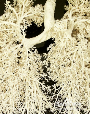 女朋友生气后一定要告诉她，生气真的很伤身体