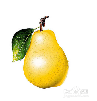 预防痔疮,应该吃那些水果?