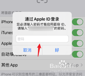苹果下载app怎么设置人脸识别下载