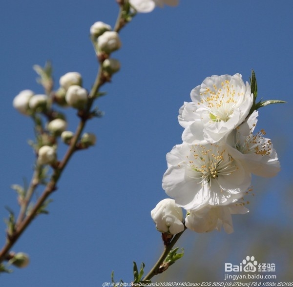 北京旅游攻略：[22]海淀公园