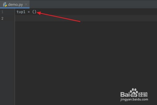 怎么在Python中创建空元组