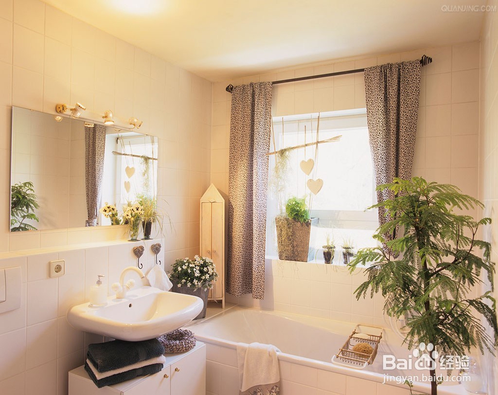 家里一定要摆放这几种绿植，保你财旺，运气旺