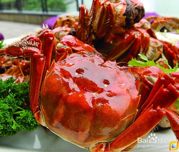 螃蟹不能和什么一起吃,吃螃蟹的禁忌【最全】