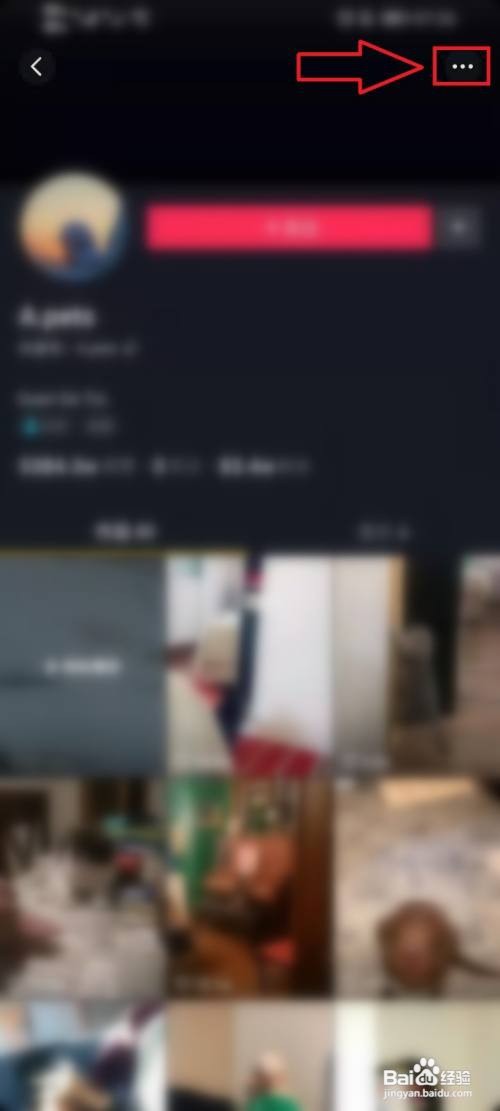 抖音如何私信作者