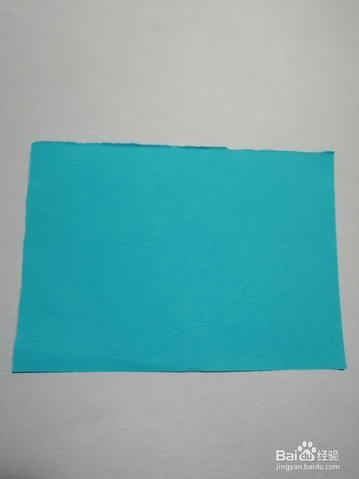 可爱的小瓢虫怎么剪