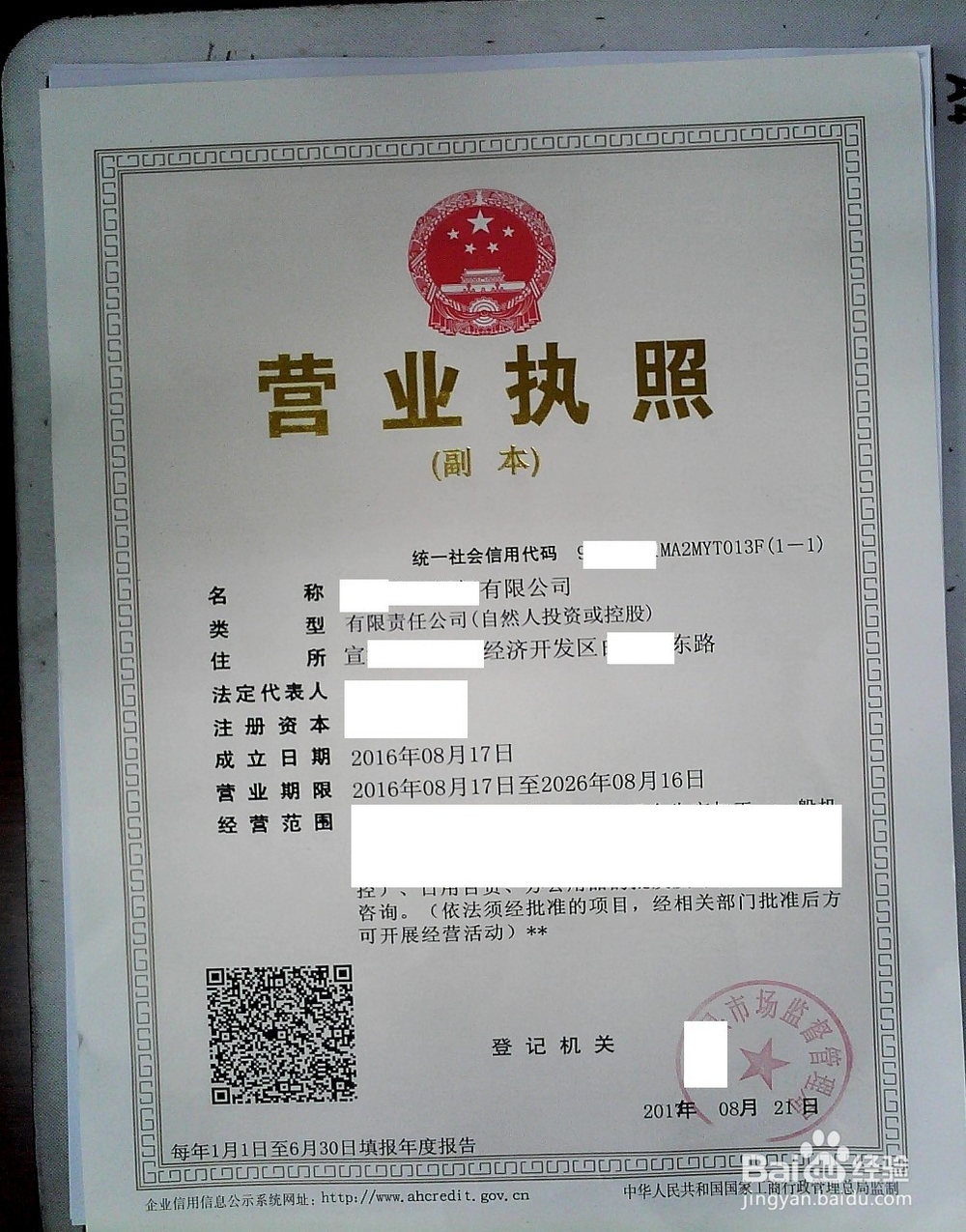 怎么申报无船承运业务