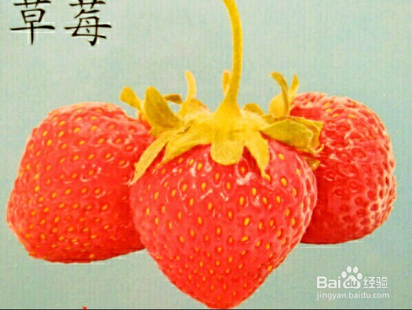 怎么样逗宝宝笑