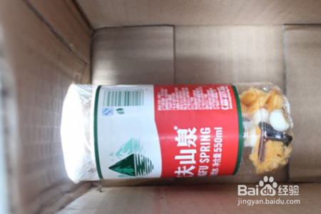 如何捕获蟑螂,如何驱赶蟑螂,自制灭小强工具