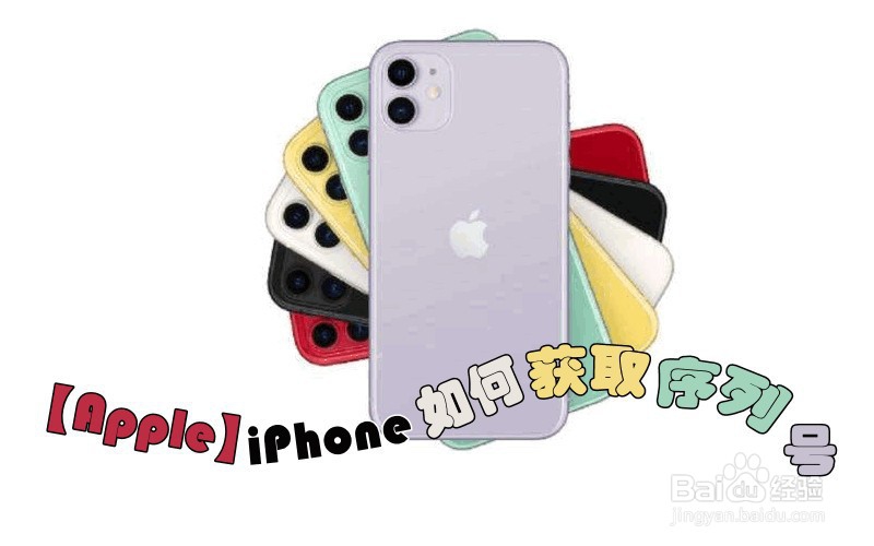 【Apple】iPhone如何获取序列号