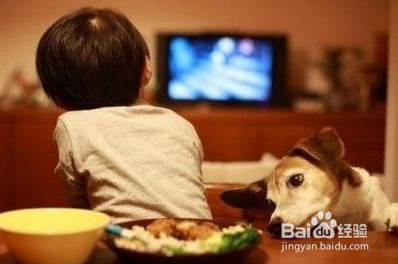 冬天饭菜特别容易冷掉怎么办