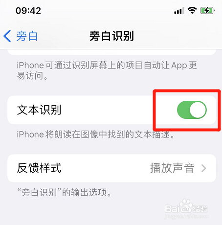 iphone旁白如何开启文本识别