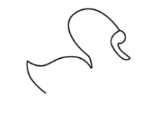 天鹅简笔画的画法步骤