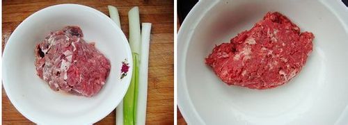 自制香喷喷的牛肉馄饨