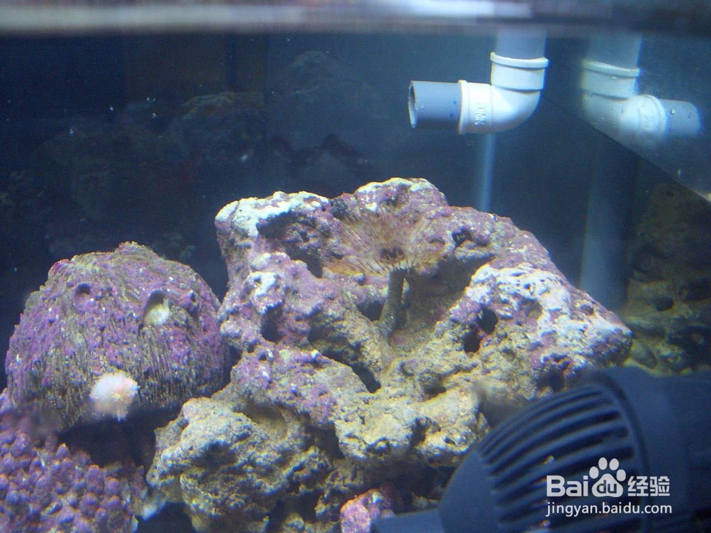 活石变臭石怎么处理