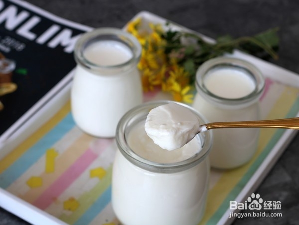 自制无糖酸奶