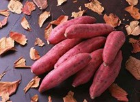 秋季减肥必备的天然刮油食物