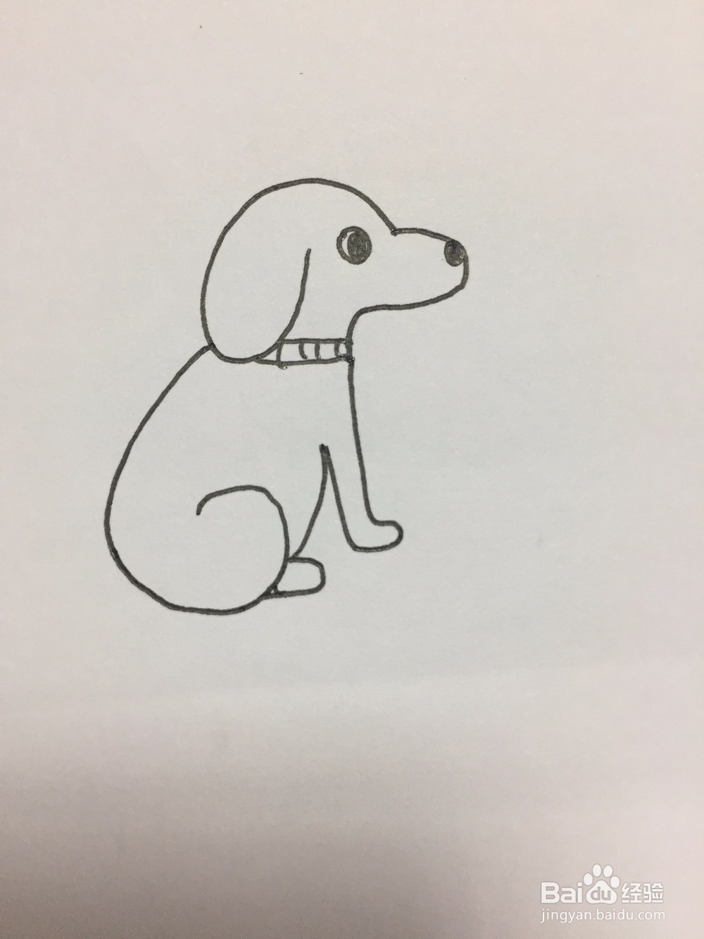 狗狗的简笔画画法
