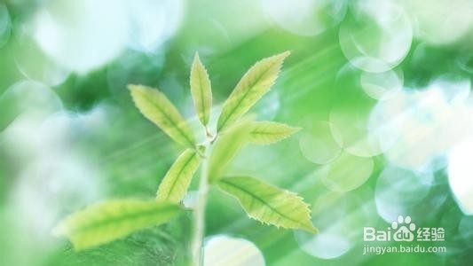 怎样克服大学的迷茫