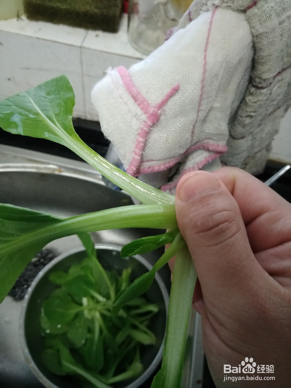 小青菜一手撵开法