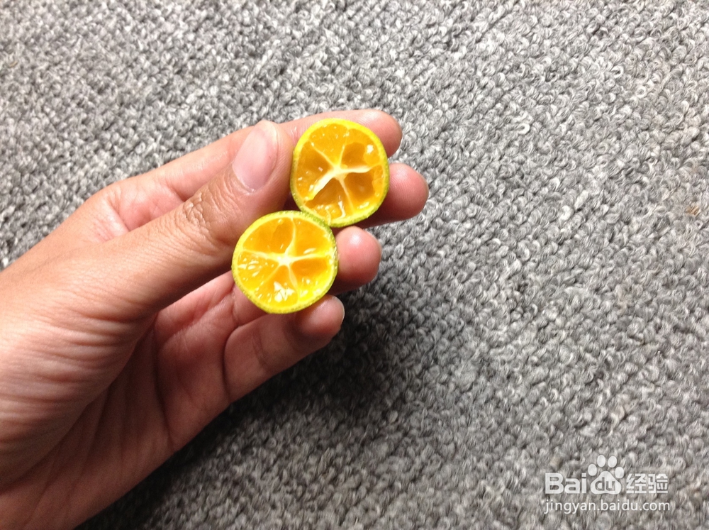 健康饮品蜂蜜金橘柠檬的做法