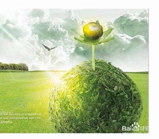 如何成立公司物流部门