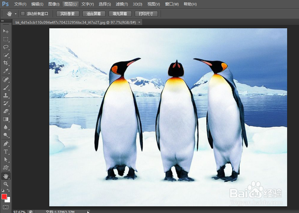 PhotoShop初学者之抓手工具