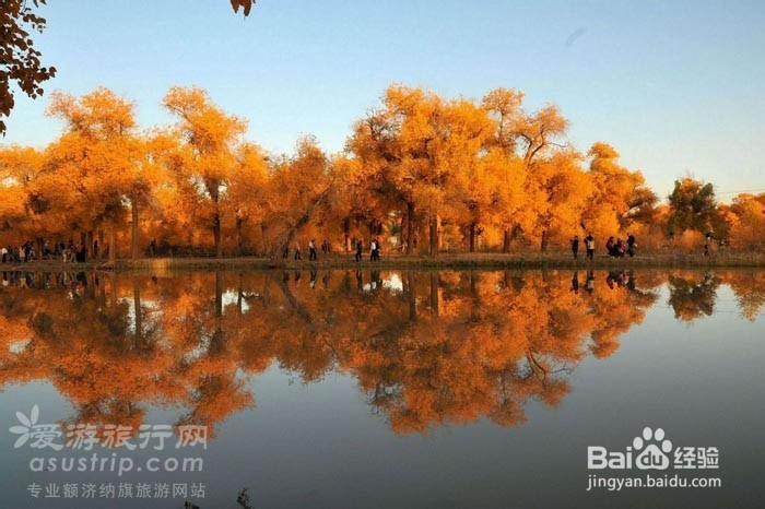 额济纳旅游攻略　