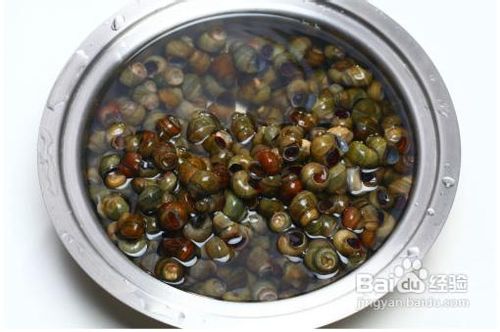 红烧螺蛳的做法