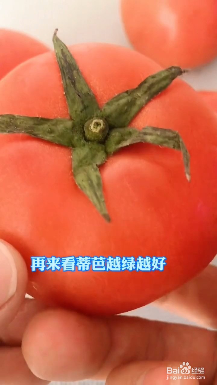 如何挑选西红柿