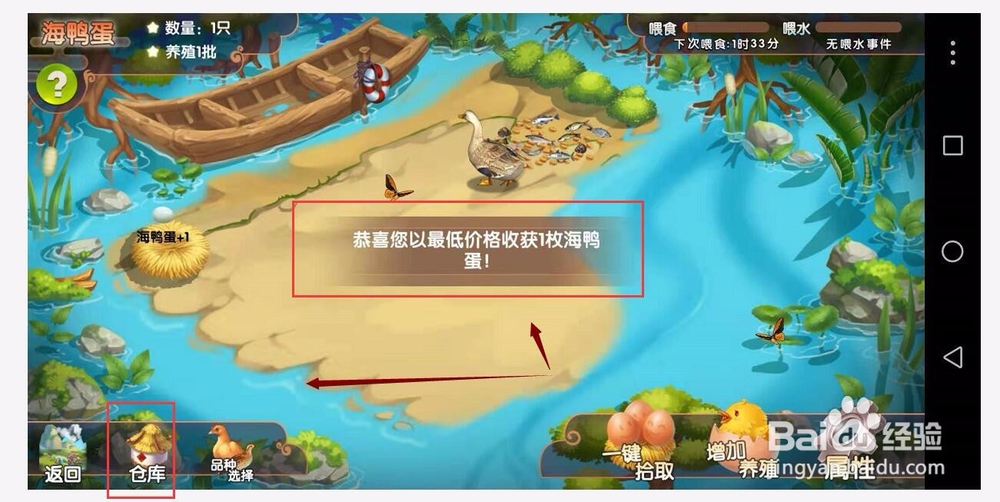 一乙农场养殖河鸭得鸭蛋并查看仓库农资工具明细