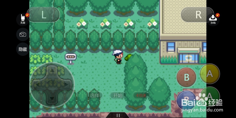 口袋妖怪究极绿宝石II野生原野区怎样去