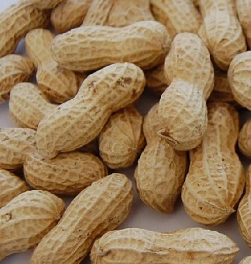 9种坚果类减肥食品