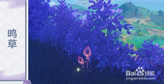 原神稻妻特色动物有哪些