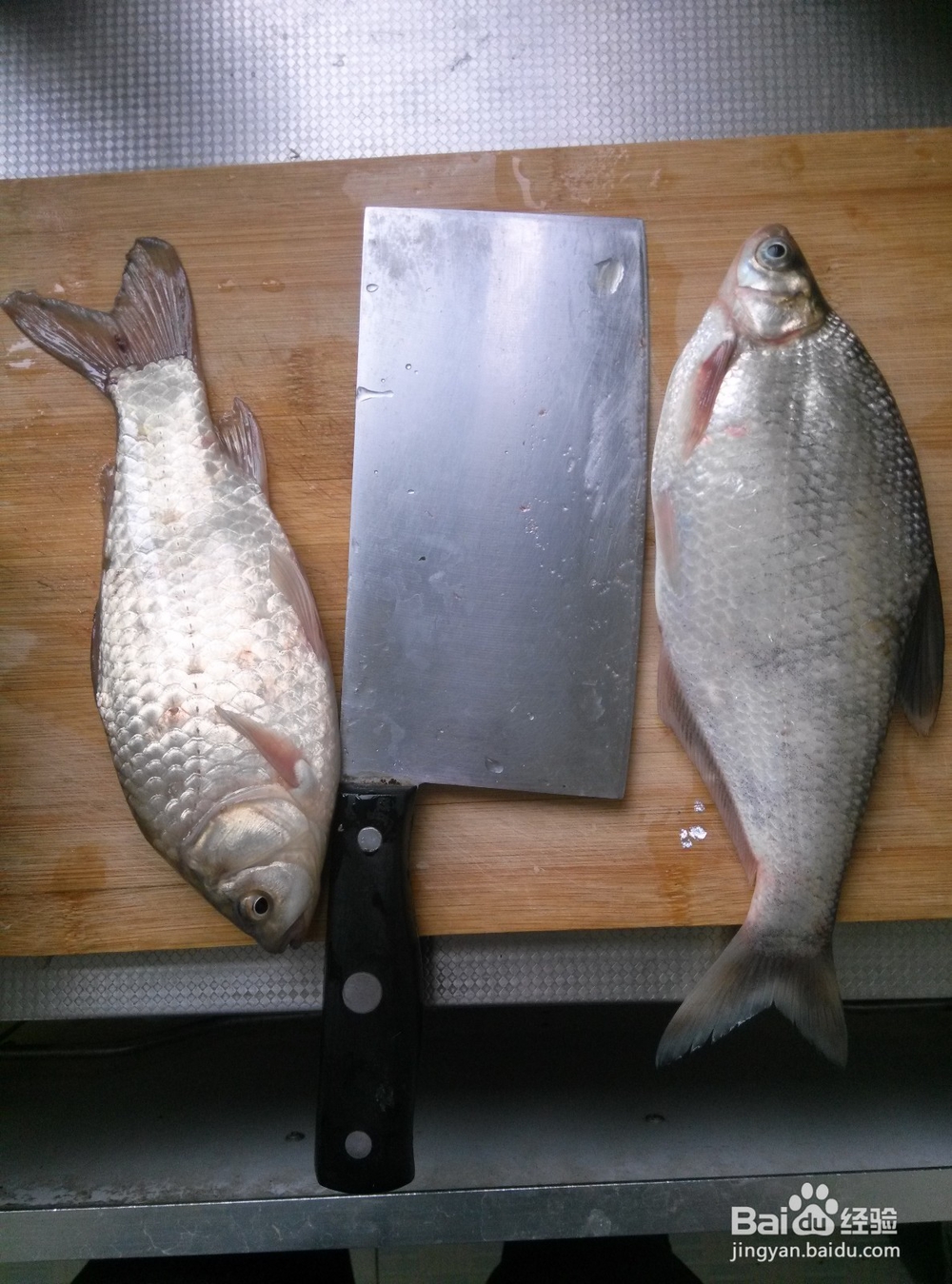 如何迅速学会钓鱼