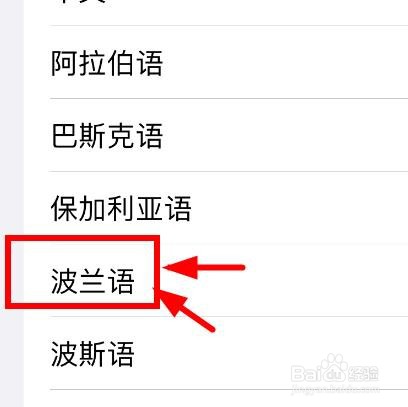 iPhone如何设置朗读内容的声音为波兰语