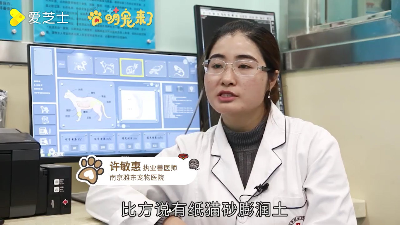 怎么教猫咪用猫砂