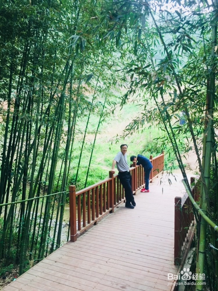 陕西鲸鱼沟夏季旅游必选