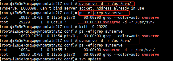 linux新手安装与配置